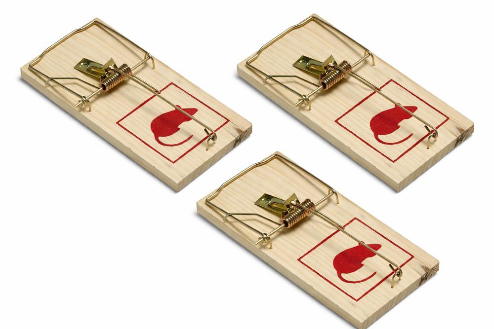 benson muizenval rattenval hout groot formaat 17 x 8 cm 3 stuks