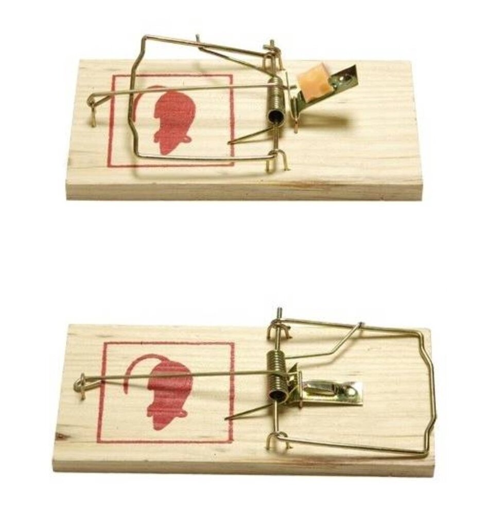 Benson muizenval rattenval groot formaat hout 17 x 8 cm &ndash; 3 stuks