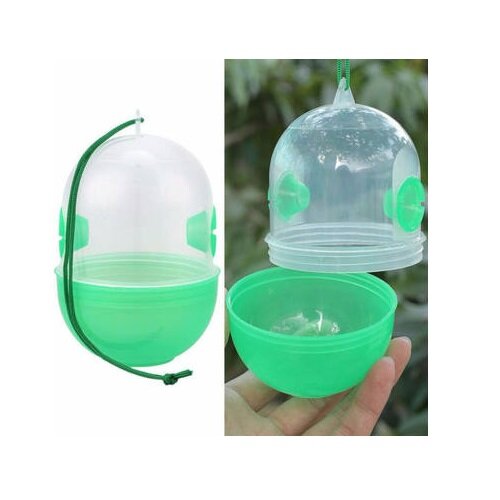 Wespenval Buiten &ndash; Effectieve Wespenvanger met Lokstof