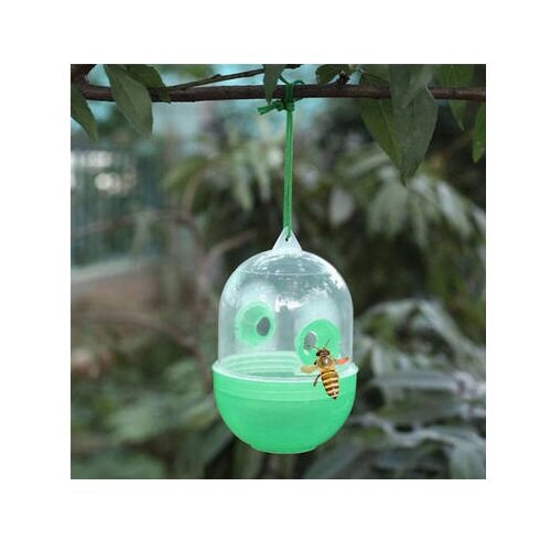 Wespenval Buiten &ndash; Effectieve Wespenvanger met Lokstof