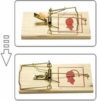 Benson muizenval rattenval groot formaat hout 17 x 8 cm &ndash; 3 stuks