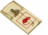 benson muizenval rattenval hout groot formaat 17 x 8 cm 3 stuks