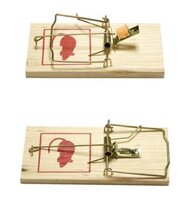 Benson muizenval rattenval groot formaat hout 17 x 8 cm &ndash; 3 stuks