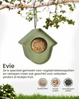 Singing Friend Evie vogelvoederhuisje grijs-groen