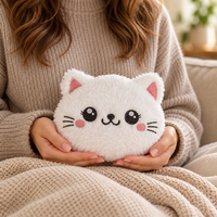 Warmte knuffel kat 