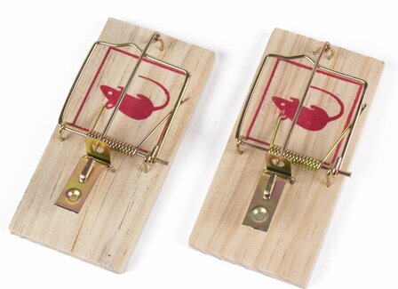 Houten muizenvallen | set van 2 | 10 x 5 x 1 cm 