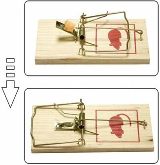 Houten muizenvallen | set van 2 | 10 x 5 x 1 cm 