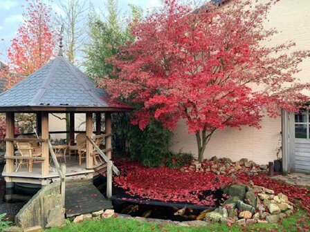 Knooploos bladernet 6x25m maas 15x15mm 