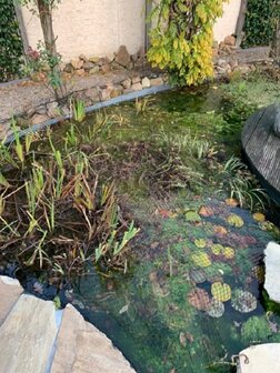 Knooploos bladernet 8x25m maas 15x15mm 