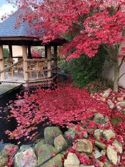 Knooploos bladernet 8x25m maas 15x15mm 