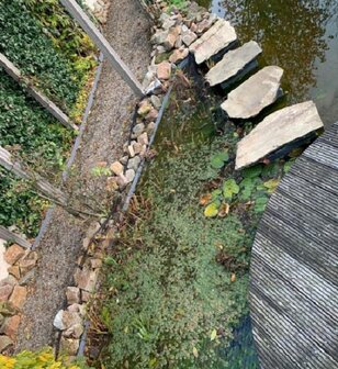 Knooploos bladernet 8x25m maas 15x15mm 