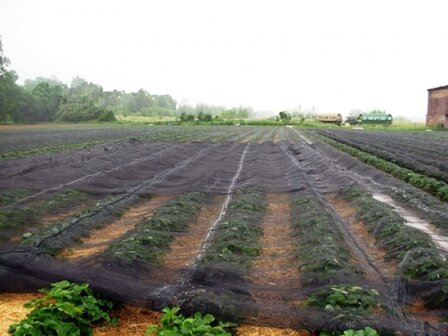 Knooploos bladernet 10x50m maas 5x7mm 