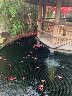 Knooploos bladernet 6x100m maas 15x15mm 