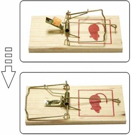 Houten muizenvallen | set van 2 | 10 x 5 x 1 cm 
