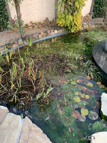 Knooploos bladernet 6x25m maas 15x15mm 