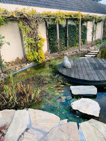 Knooploos bladernet 8x25m maas 15x15mm 