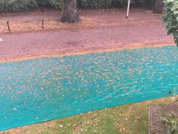 Herfstnet Budget 8,00x50 m